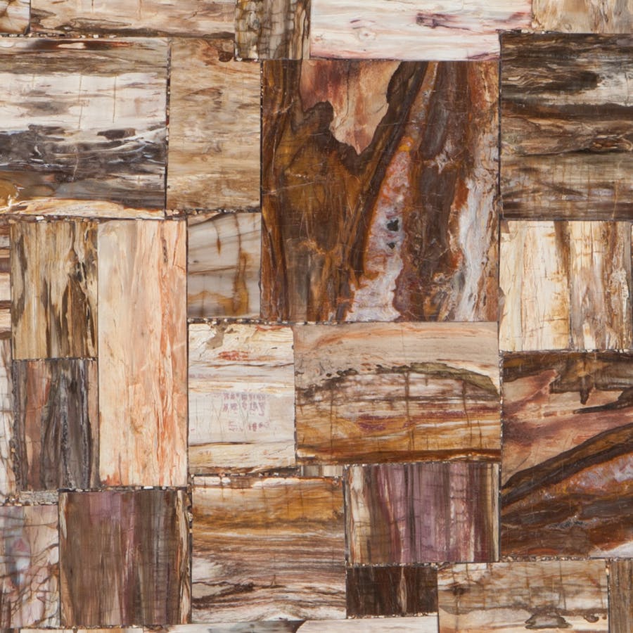 Retro petrified wood