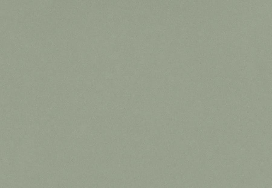 Posidonia green